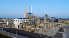 聚焦全省县域特色财产集群②丨从根本化工到高