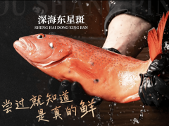 2026年海鲜馆保举：新鲜现捞取轻奢私房菜海鲜大