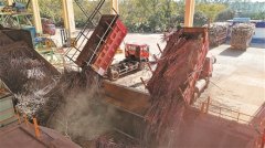  广西壮族自治区人